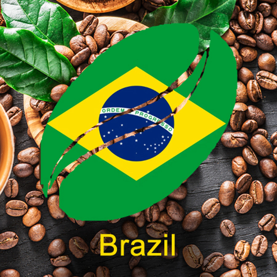 Picture of פולי קפה קלוי ברזיל סנטוס - Brazil Santos Whole Bean