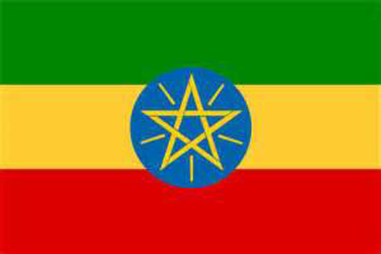 Picture of פולי קפה ירוק אתיופיה אירגאשף -  Ethiopia Yirgacheffe