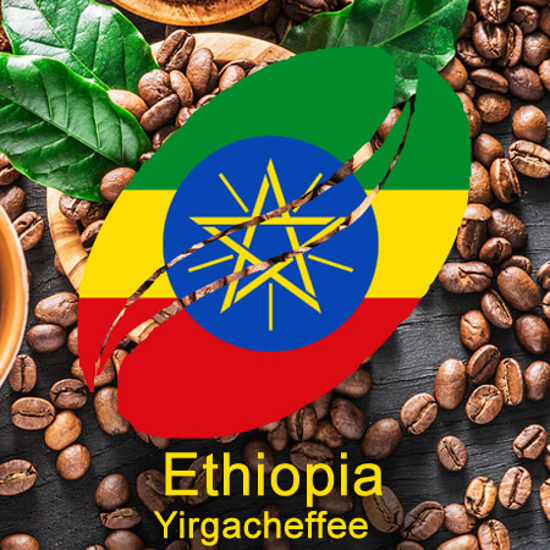 פולי קפה קלוי אתיופיה יירגשף 100% ערביקה